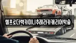 강원 삼척시 정하동 렉카, 특수렉카, 차량탁송, 견인운송