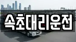 속초대리운전