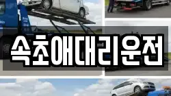 속초애대리운전