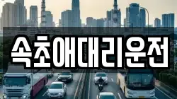 속초애대리운전