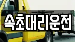 속초대리운전