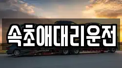 속초애대리운전