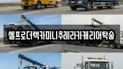강원 양구군 양구읍 렉카, 특수렉카, 차량탁송, 견인운송