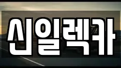 신일렉카