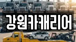 강원카캐리어