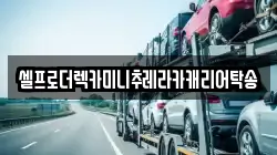 셀프로더렉카미니추레라카캐리어탁송