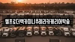 셀프로더렉카미니추레라카캐리어탁송