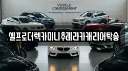 셀프로더렉카미니추레라카캐리어탁송