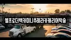 셀프로더렉카미니추레라카캐리어탁송