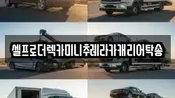 셀프로더렉카미니추레라카캐리어탁송