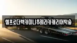 셀프로더렉카미니추레라카캐리어탁송