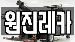 원진레카