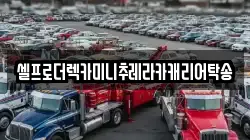 셀프로더렉카미니추레라카캐리어탁송