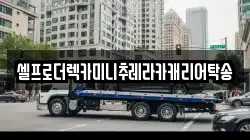 셀프로더렉카미니추레라카캐리어탁송
