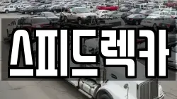 스피드렉카