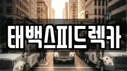 강원 태백시 소도동 렉카, 특수렉카, 차량탁송, 견인운송