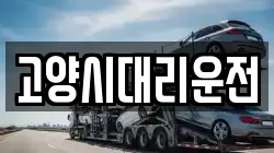 고양시대리운전