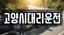 고양시대리운전