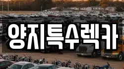 양지특수렉카