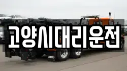 고양시대리운전
