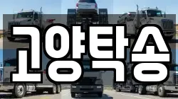 고양탁송
