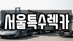서울특수렉카