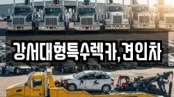 강서대형특수렉카,견인차