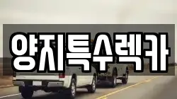 양지특수렉카