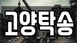 고양탁송