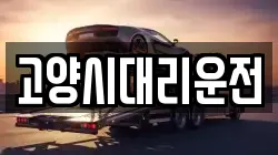 고양시대리운전