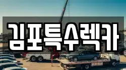 김포특수렉카