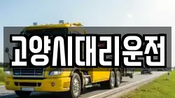 고양시대리운전