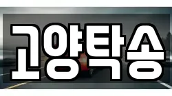고양탁송