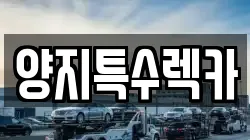 경기도 고양시 일산동구 성석동 렉카, 특수렉카, 차량탁송, 견인운송