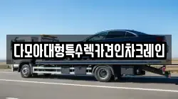 다모아대형특수렉카견인차크레인