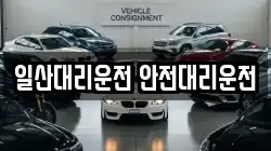 일산대리운전 안전대리운전
