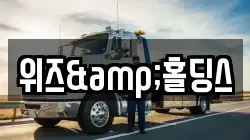 위즈&홀딩스