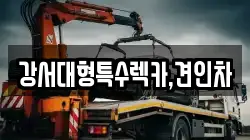 강서대형특수렉카,견인차