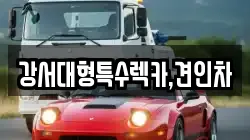 강서대형특수렉카,견인차