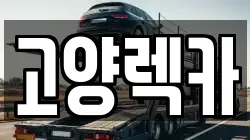 경기도 고양시 일산서구 일산동 렉카, 특수렉카, 차량탁송, 견인운송