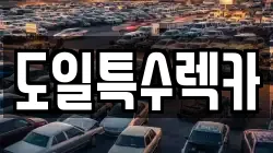 도일특수렉카