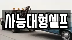 사능대형셀프