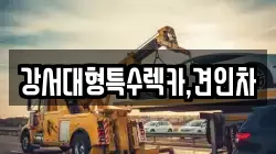 강서대형특수렉카,견인차