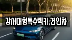강서대형특수렉카,견인차