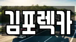 김포렉카