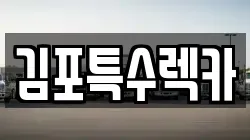 경기도 김포시 운양동 렉카, 특수렉카, 차량탁송, 견인운송