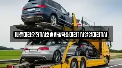빠른대리운전기사호출차량탁송대리기사일일대리기사