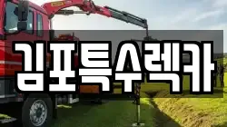 김포특수렉카