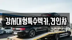 강서대형특수렉카,견인차
