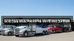 대리운전일일기사대리탁송차량탁송기사수행기사운전대행업체